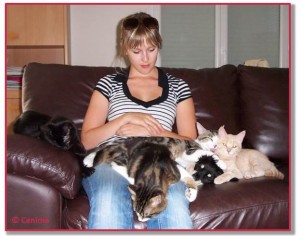 Chats